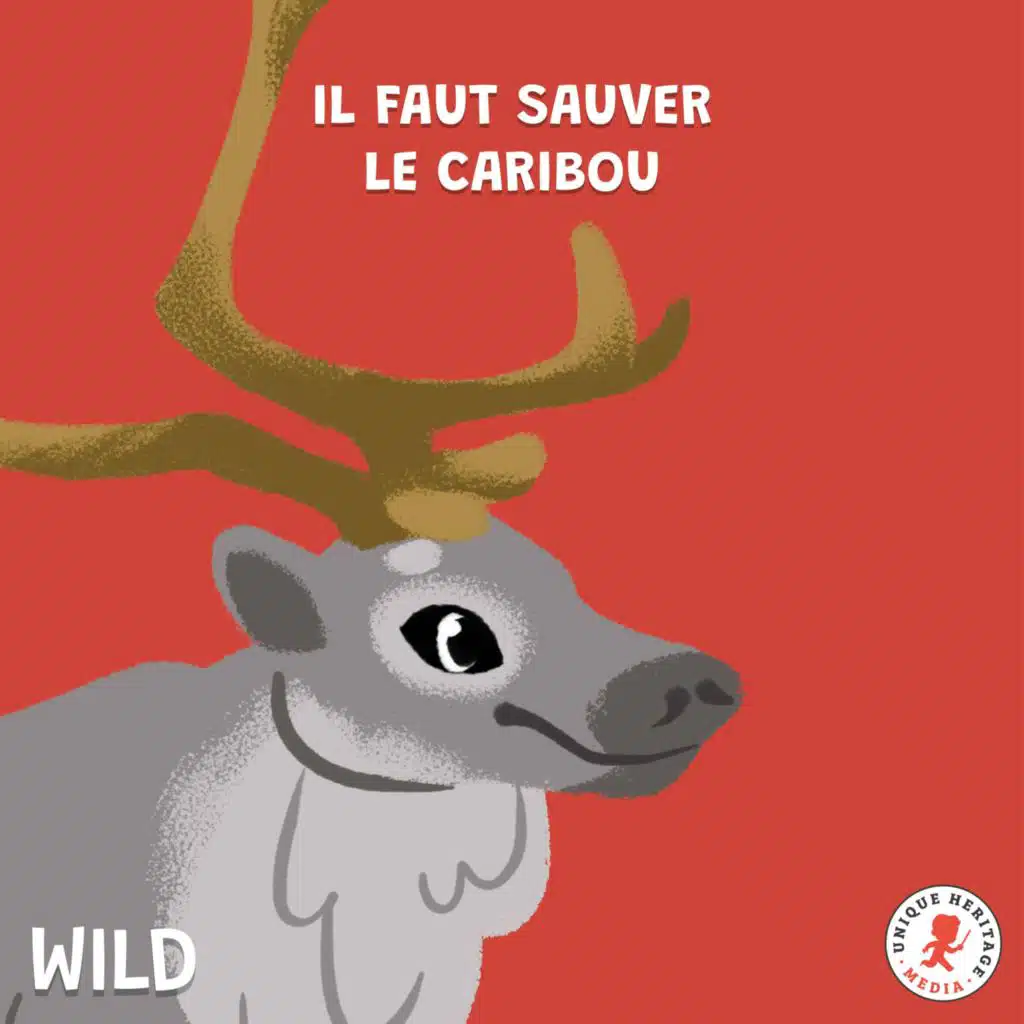 Il faut sauver le Caribou !