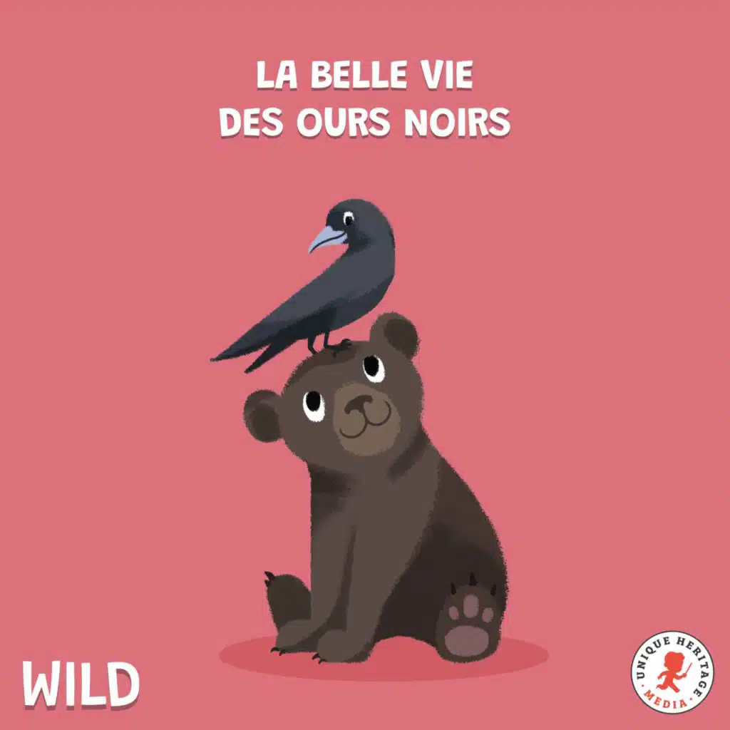 La belle vie des Ours noirs !