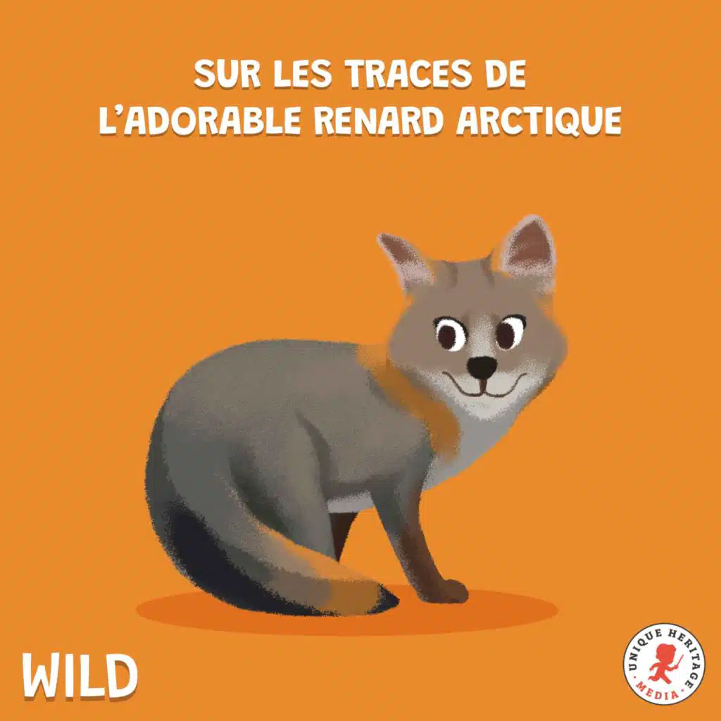 Sur les traces de l'adorable Renard Arctique