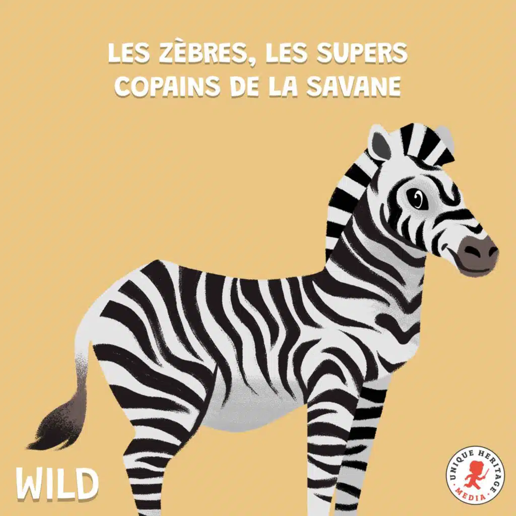 Les Zèbres, les supers copains de la savane !