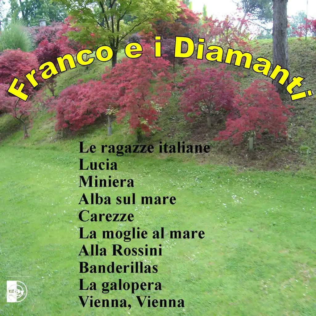 Franco e i Diamanti