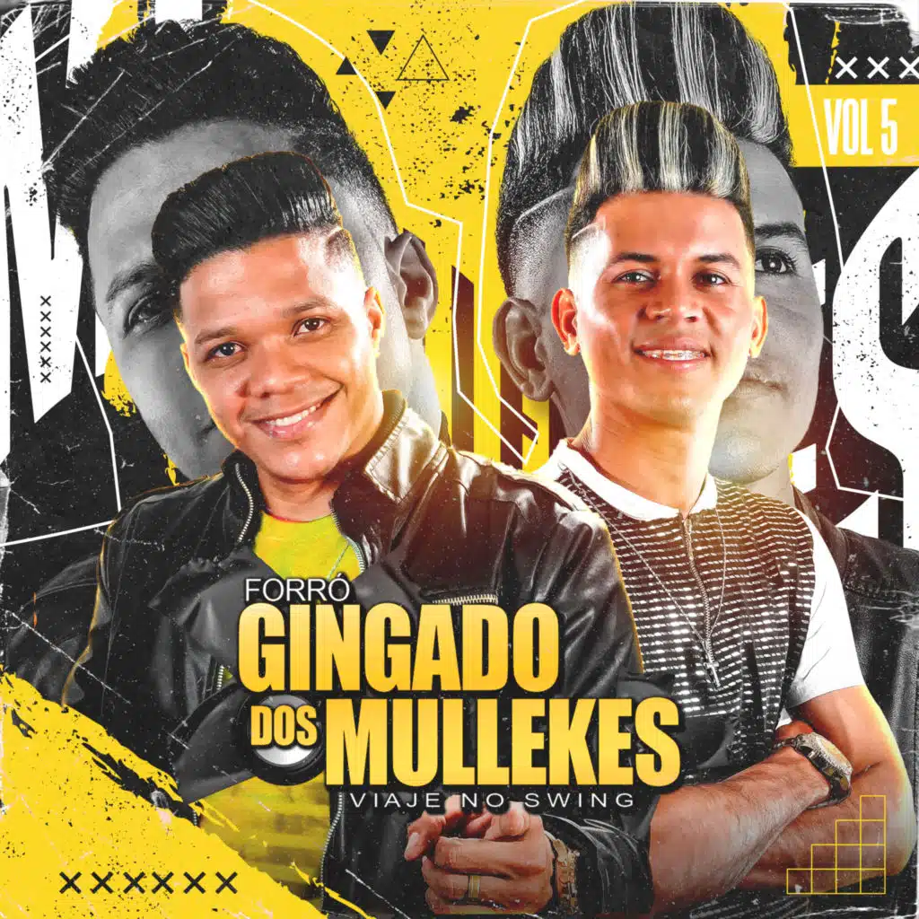 Forró Gingado dos Mullekes, Vol. 5