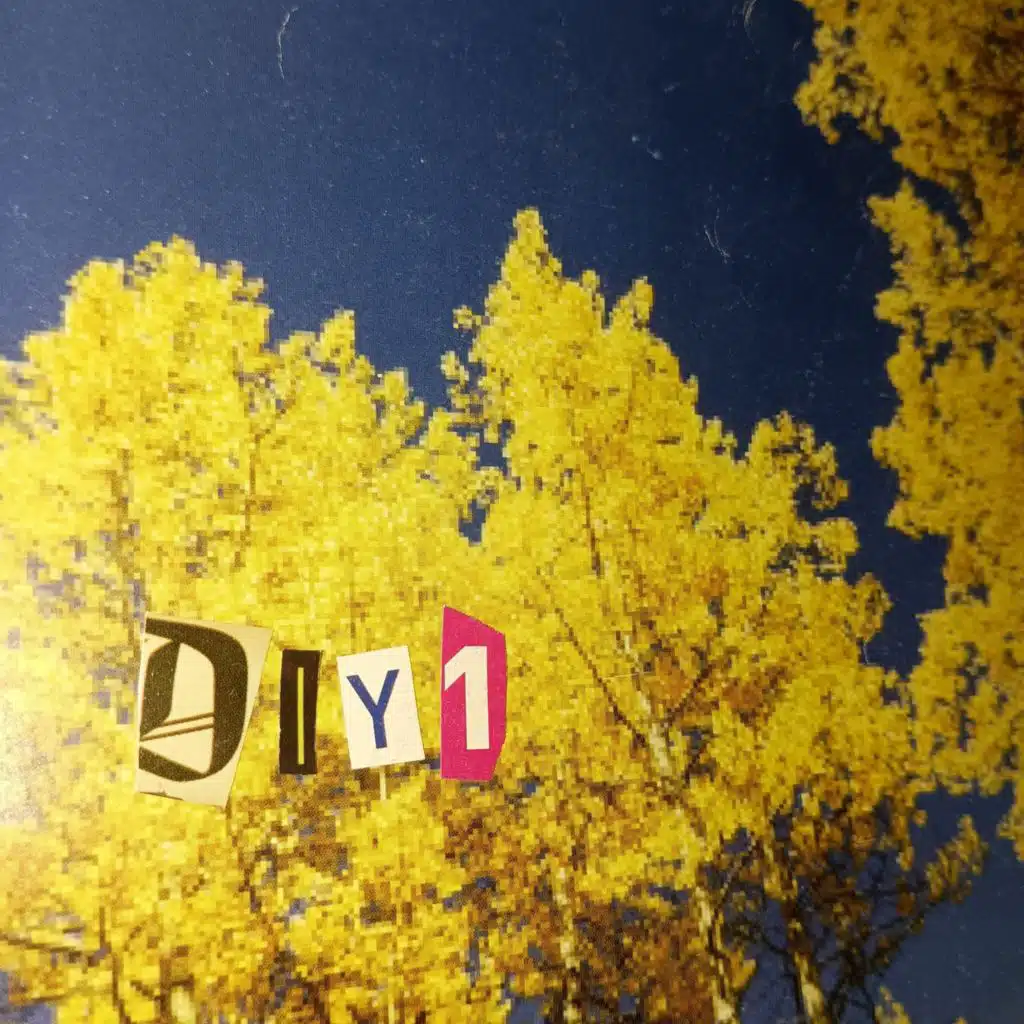 diy1
