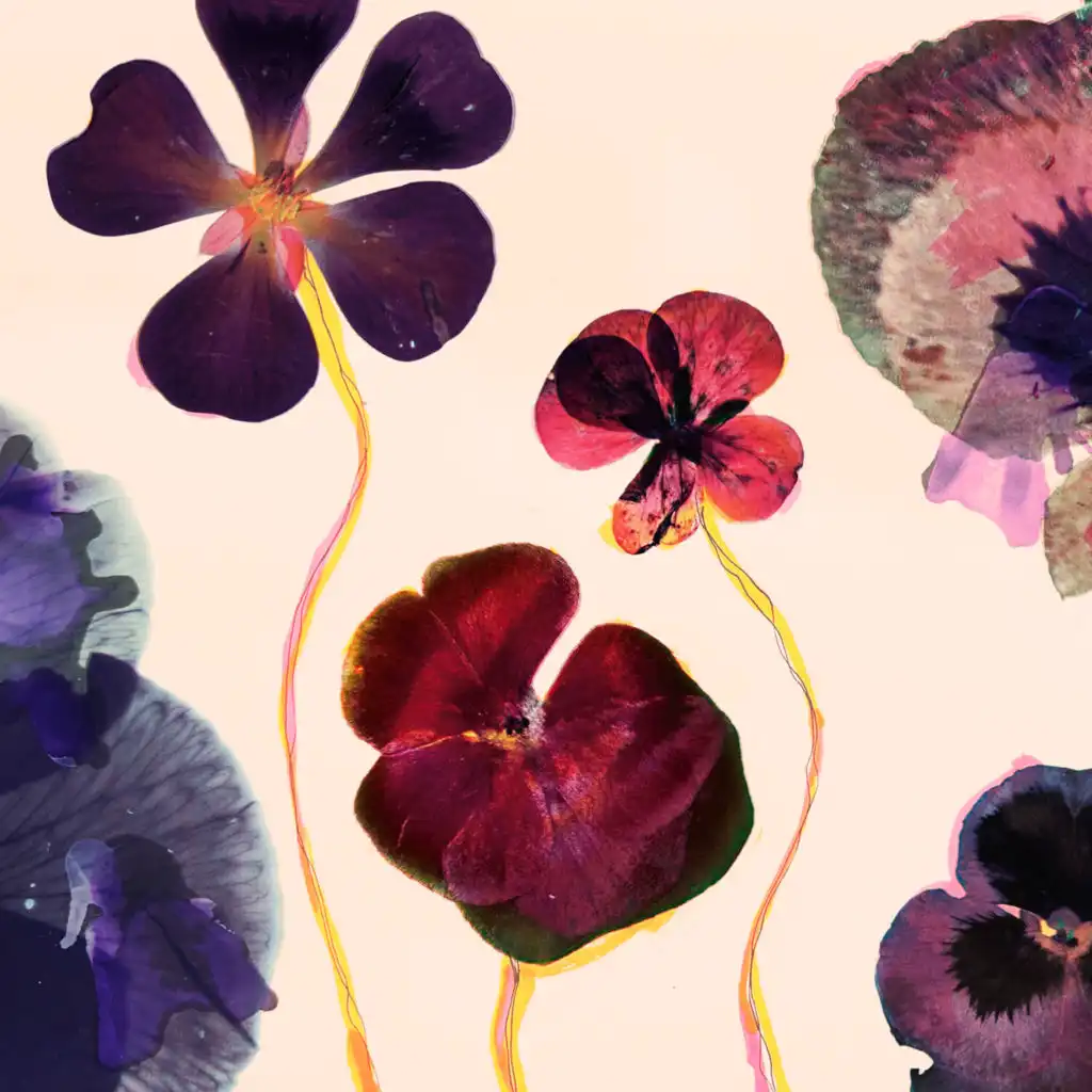 Panama & Bag Raiders