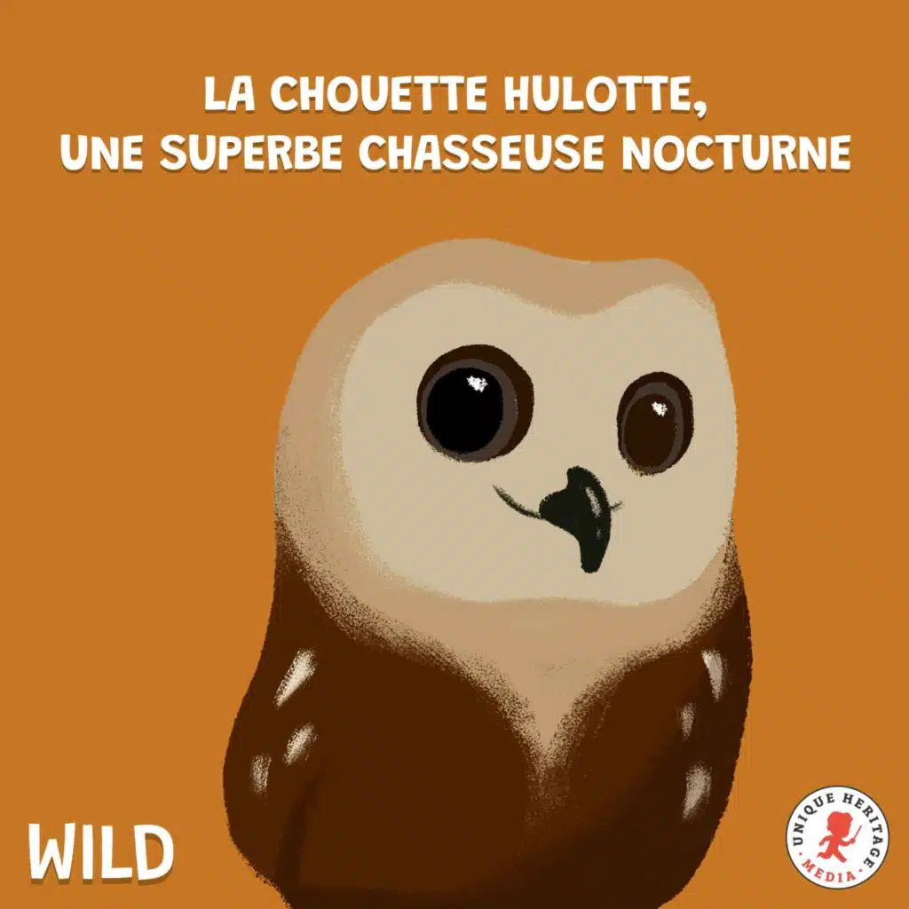 La chouette hulotte, une superbe chasseuse nocturne