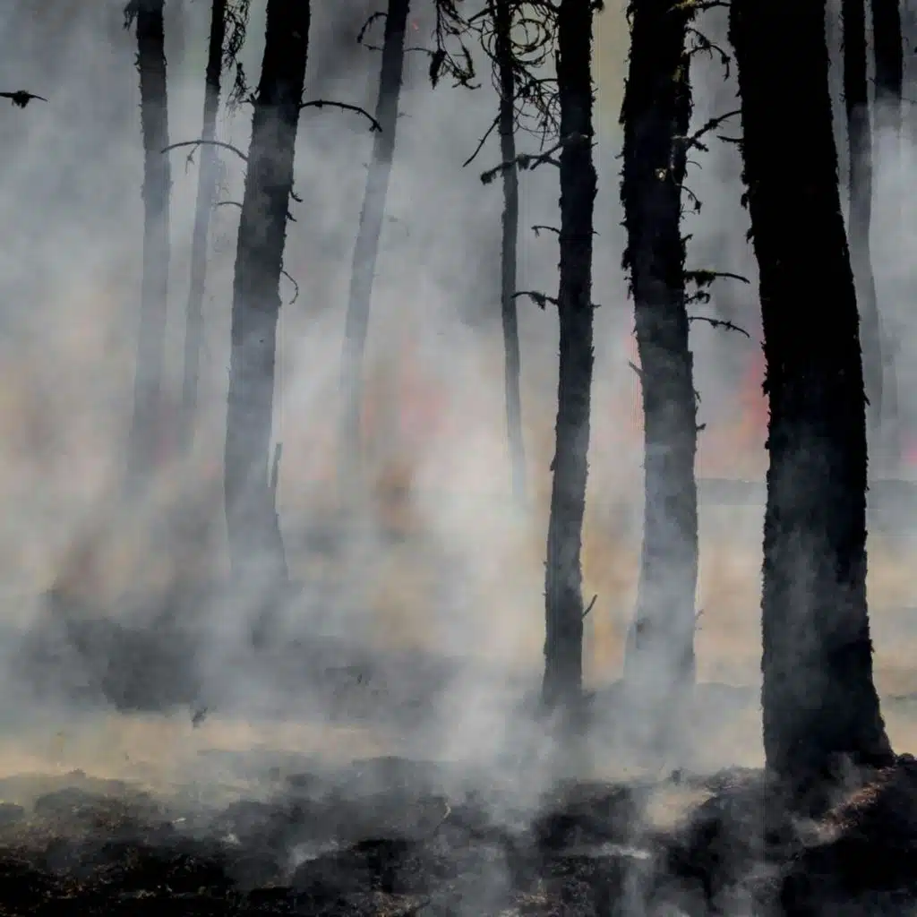 Qu’est-ce qu’un Incendie Zombie ?