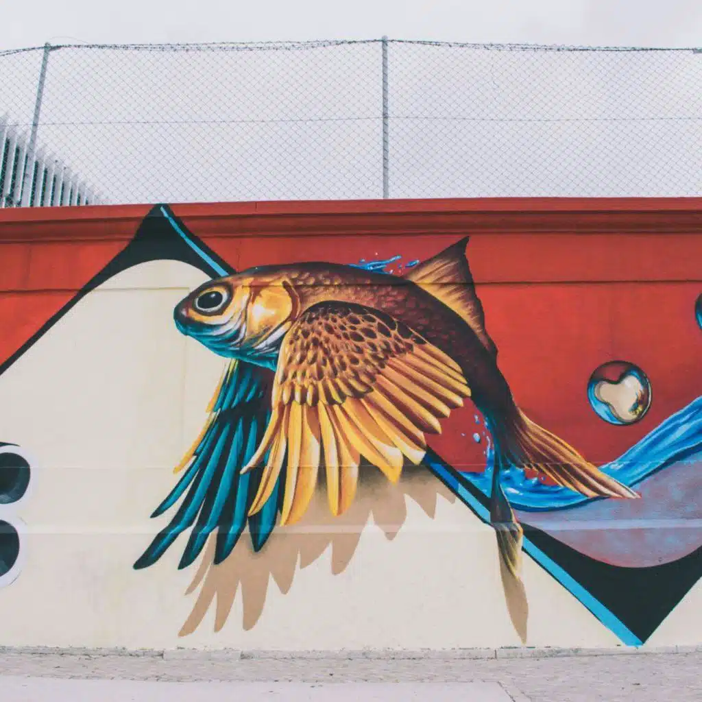 Qu’est-ce que le street-fishing, cette nouvelle culture urbaine ?