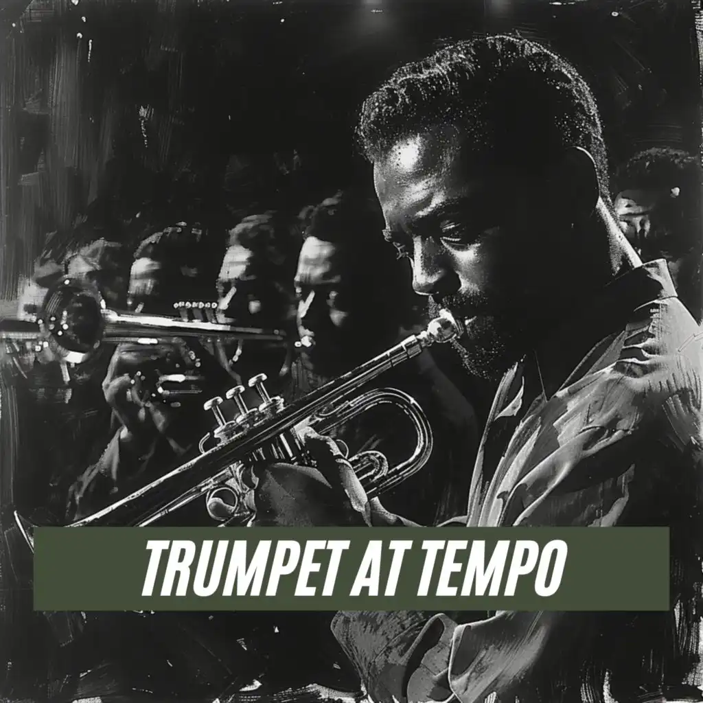 Trumpet At Tempo