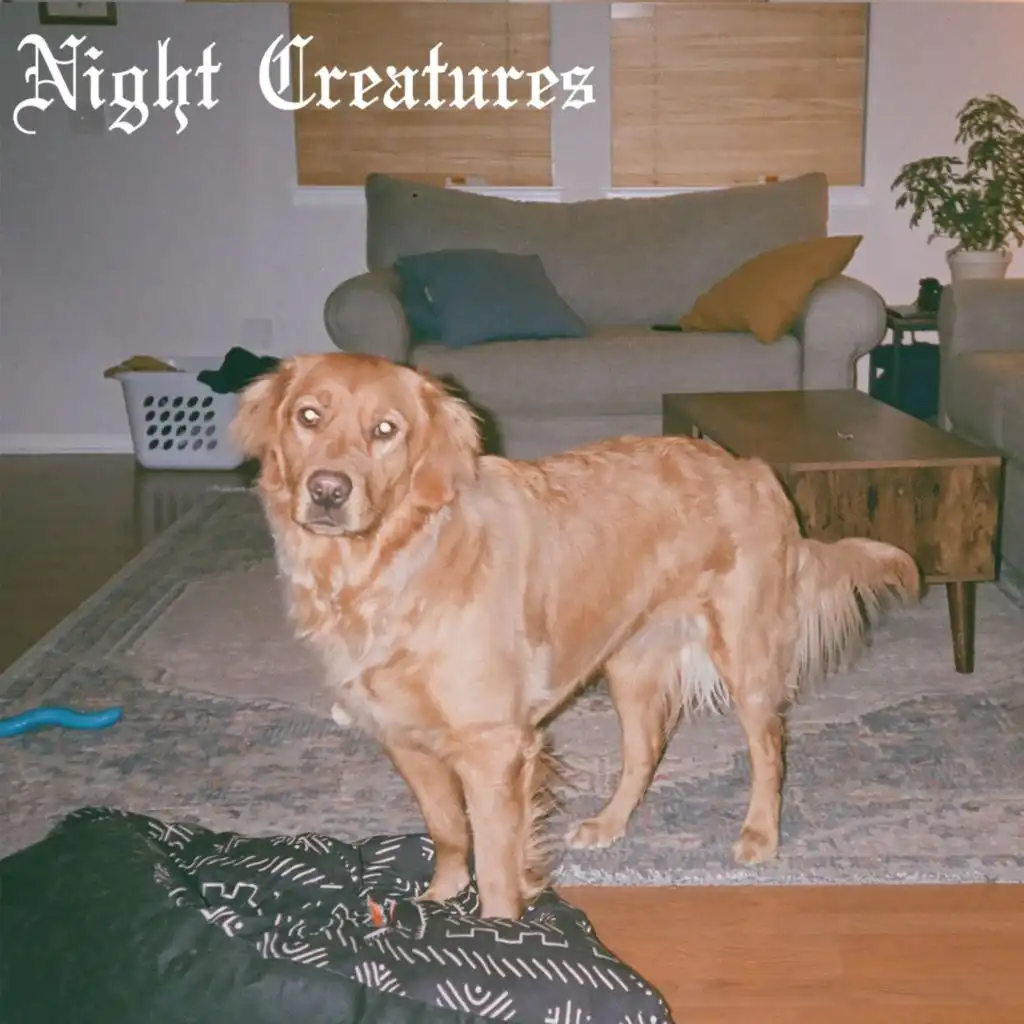 Night Creatures