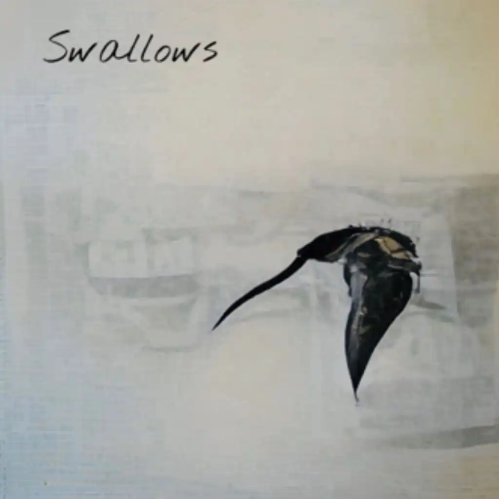 Swallows