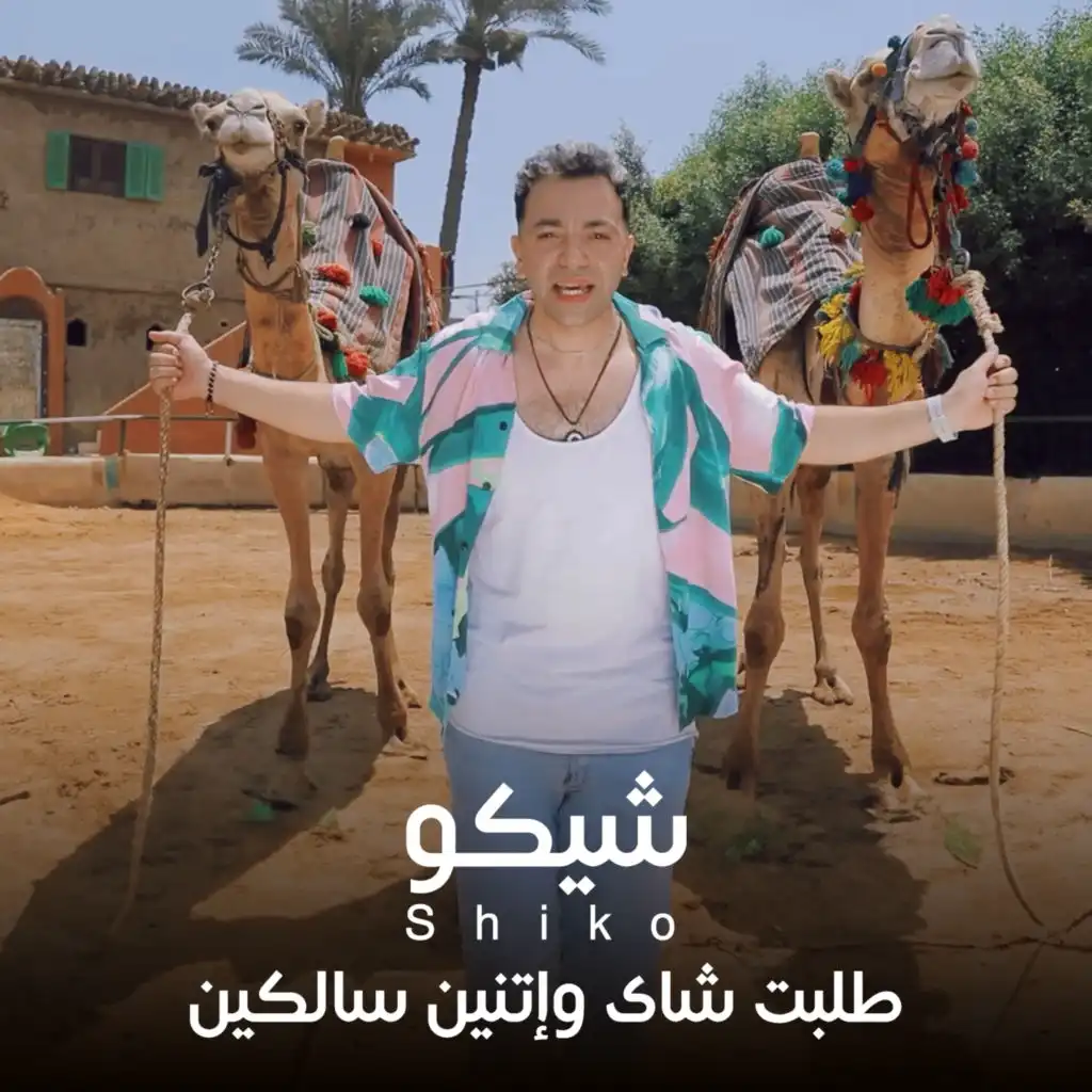 طلبت شاى واتنين سالكين