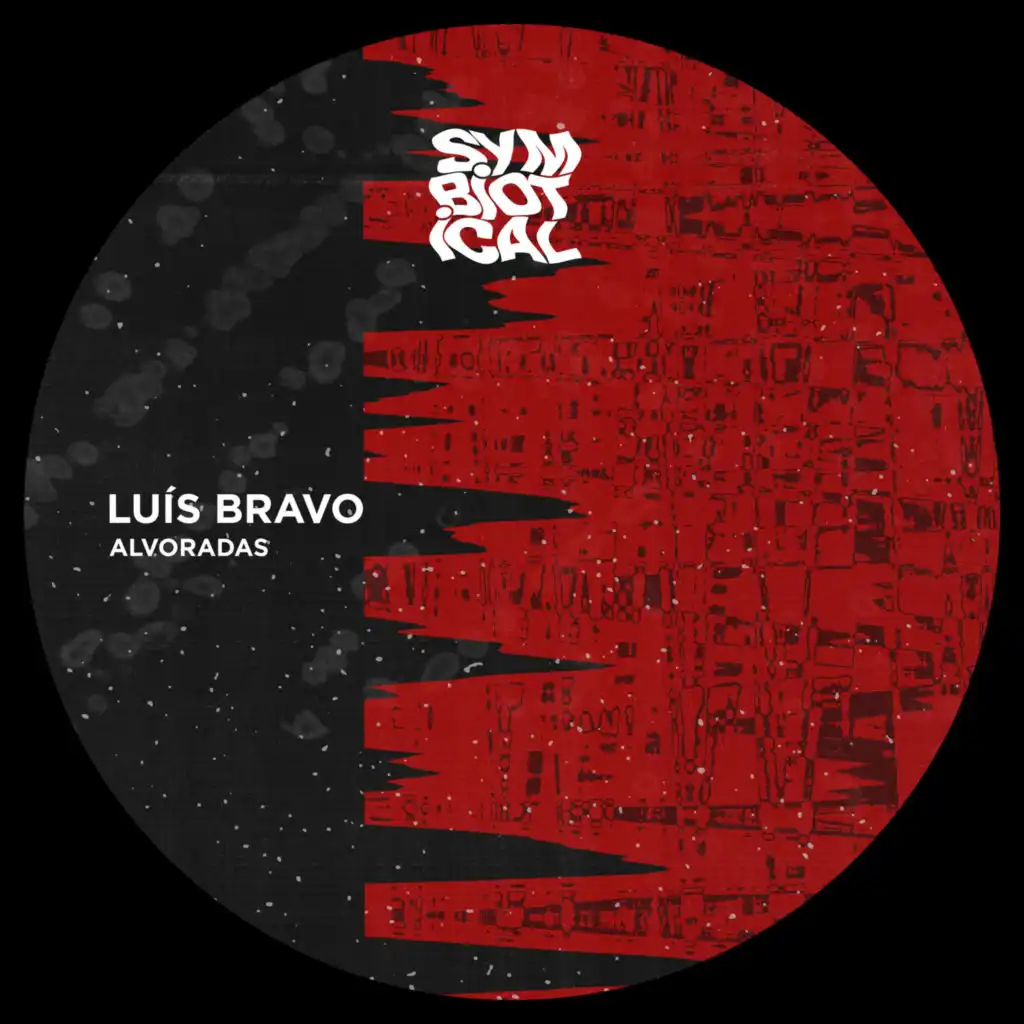 Luis Bravo