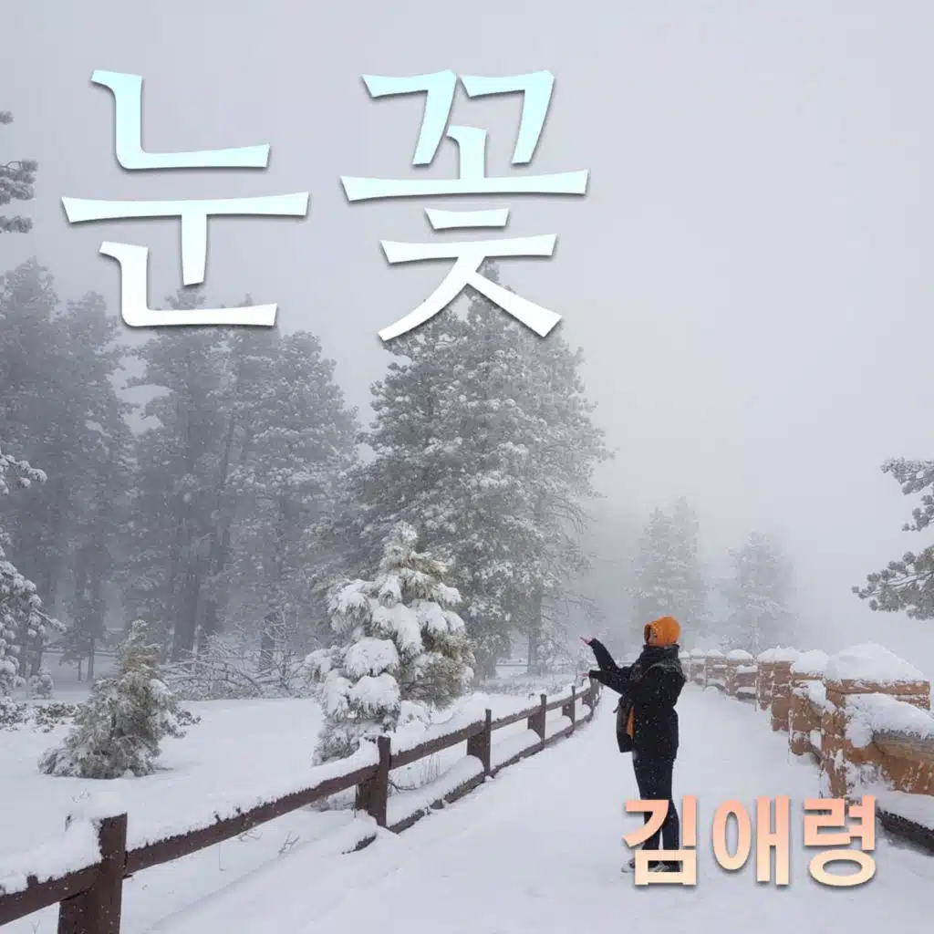 김애령
