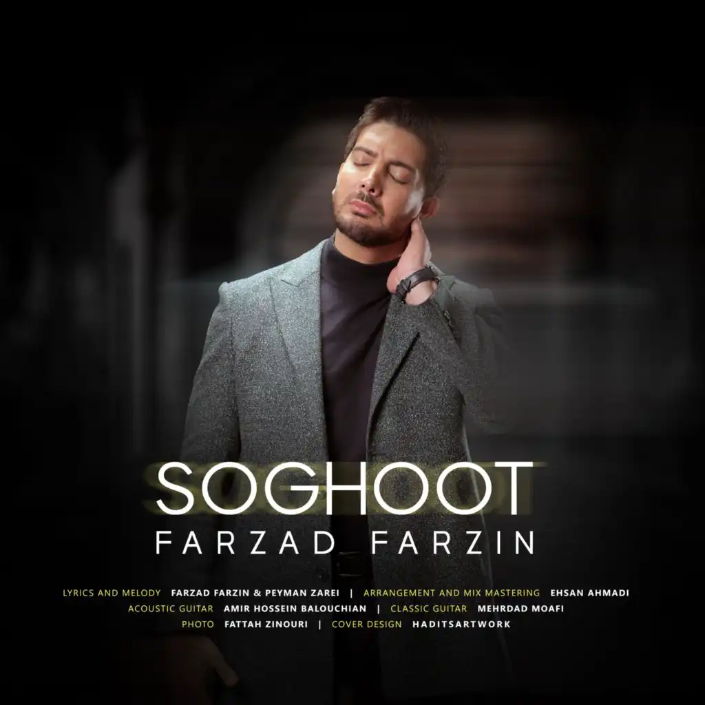 Farzad Farzin