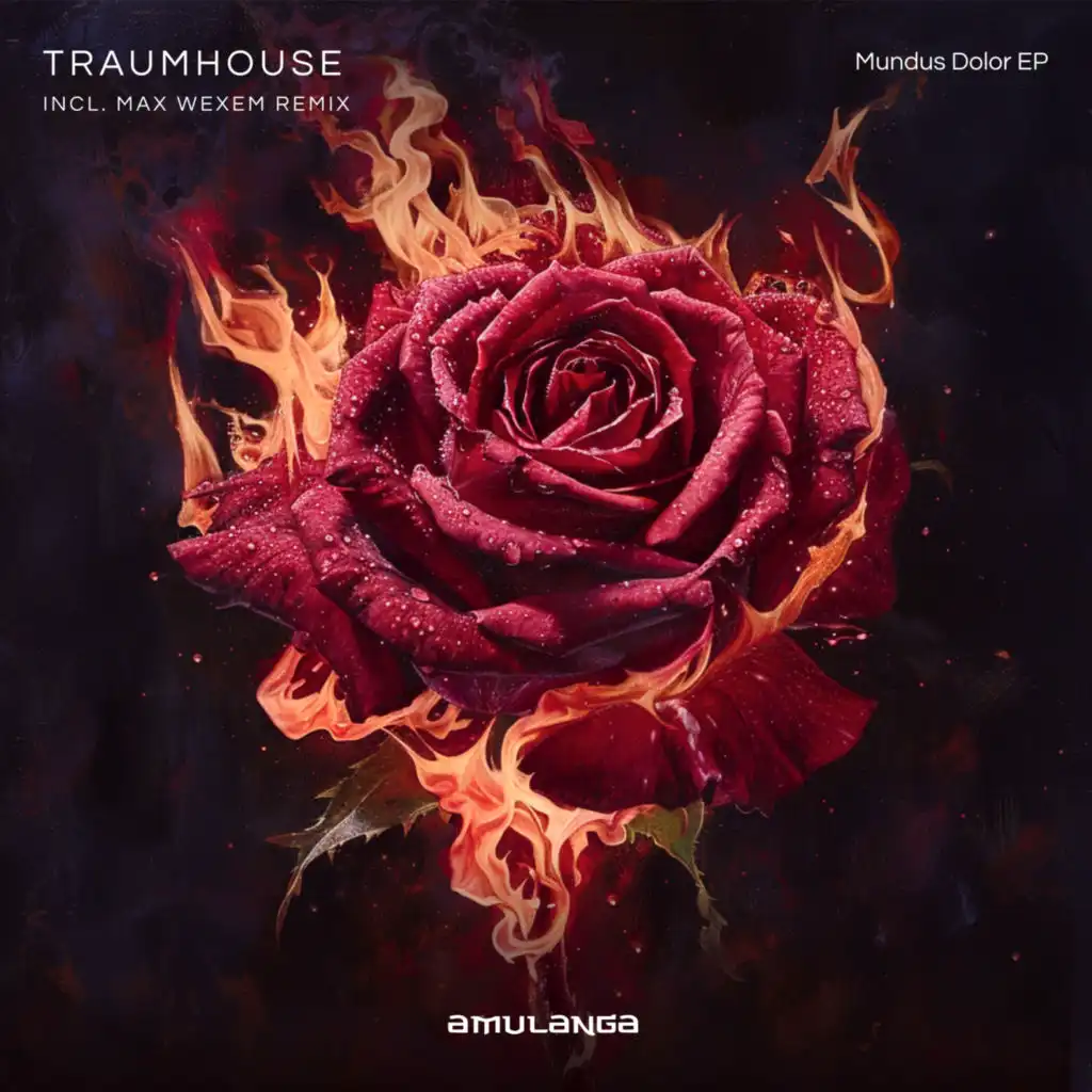 Traumhouse