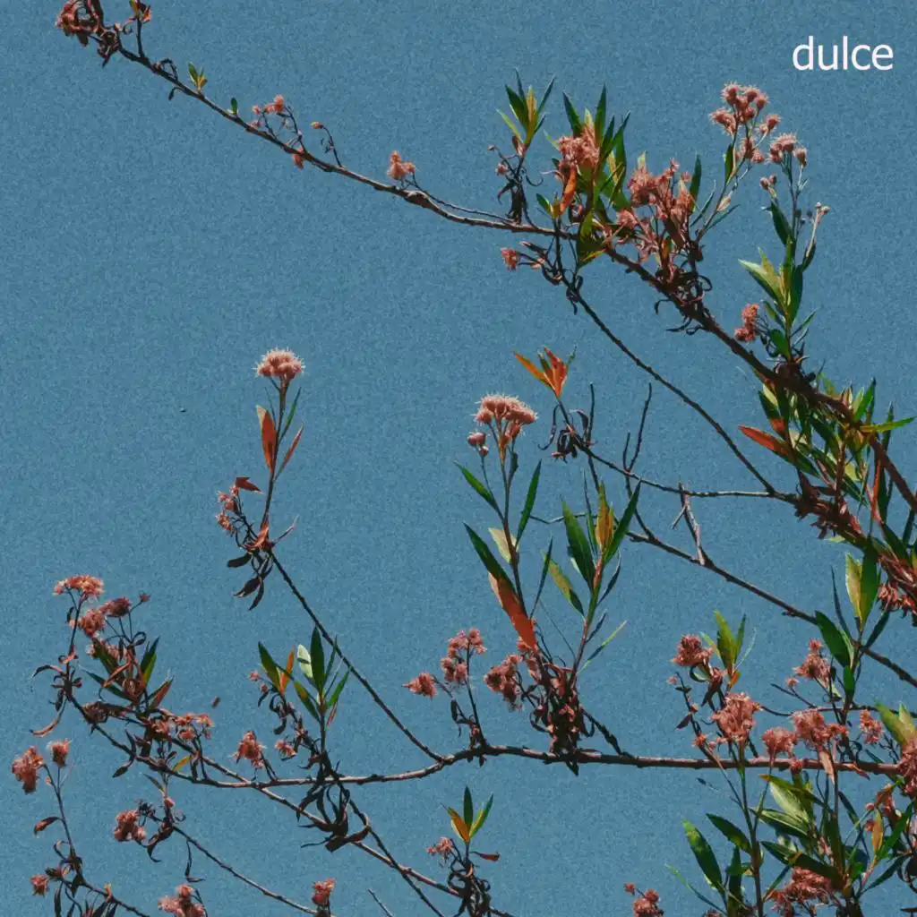 DULCE