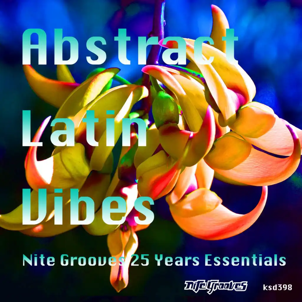 Abstract Latin Vibes (Nite Grooves 25 Years Essentials)