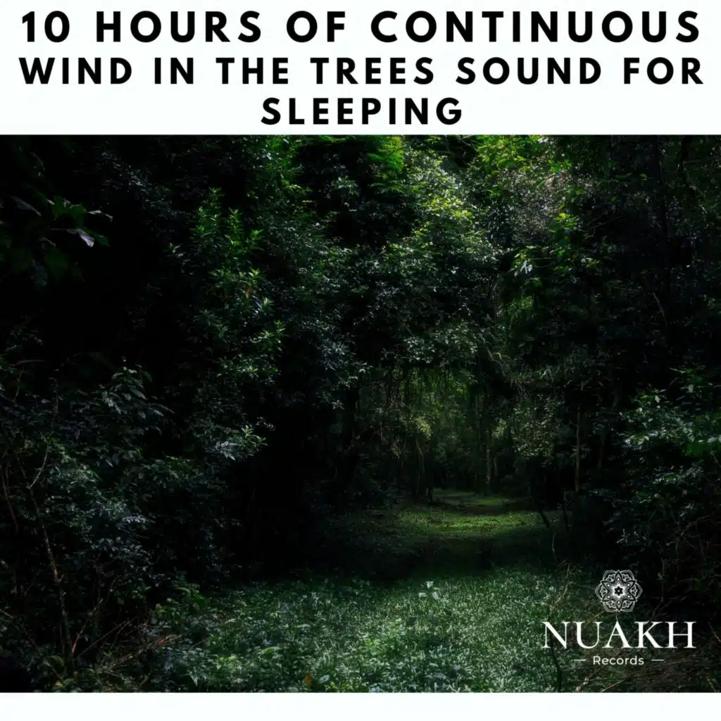White Noise Radiance & Nature Sounds for Sleep