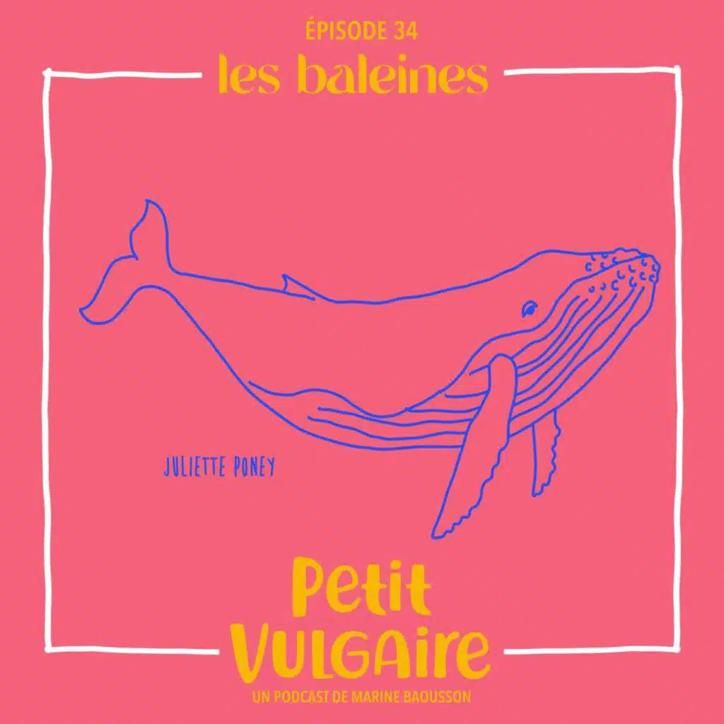 PETIT VULGAIRE : LES BALEINES