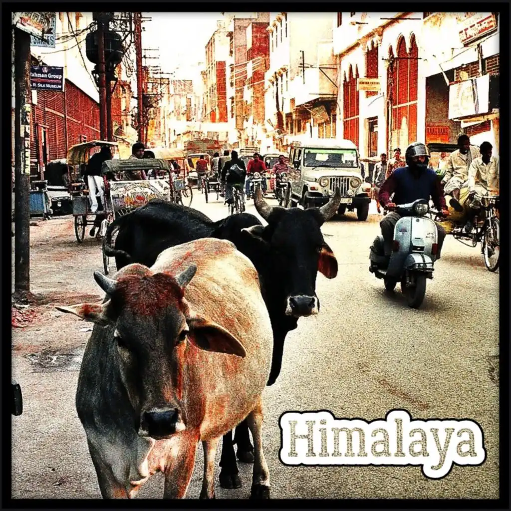 Dancing with Iuana (Überarbeitet 2024)