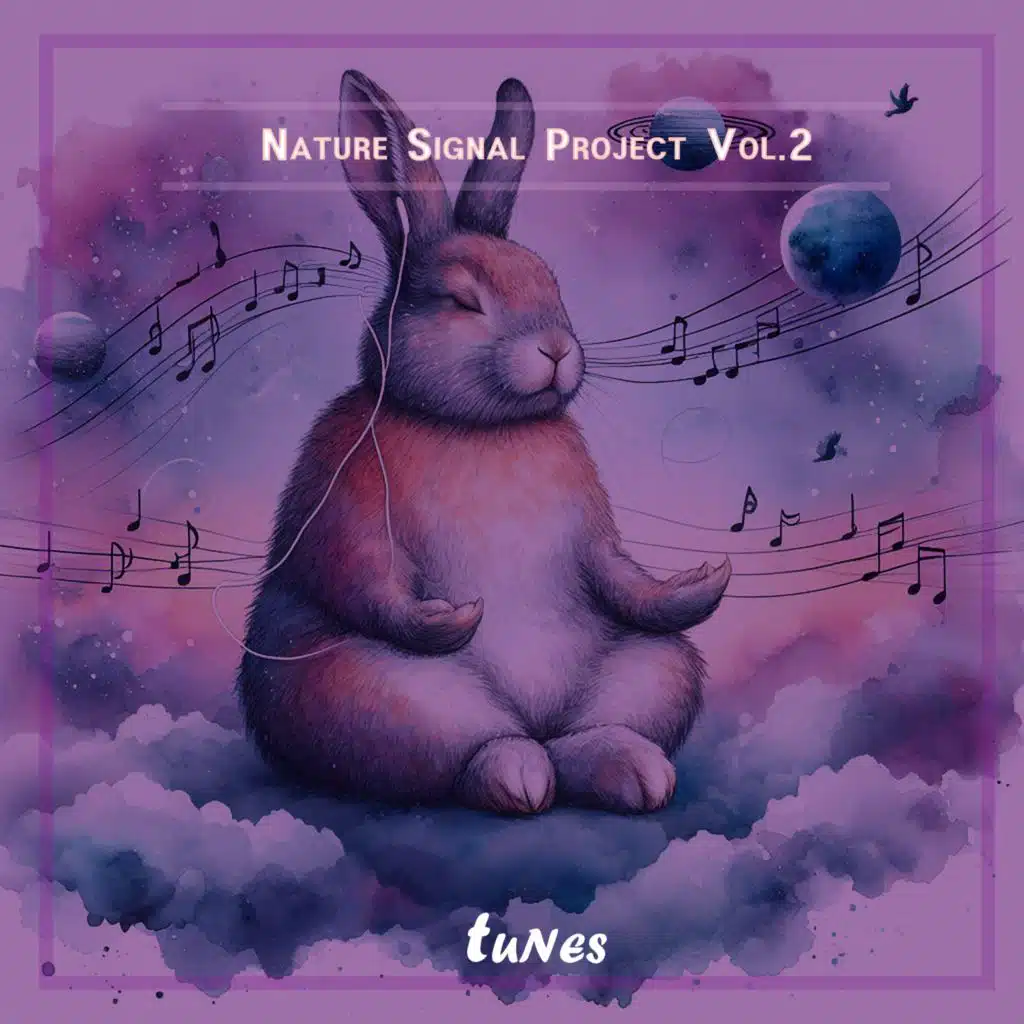 Nature Signal Project Vol. 2