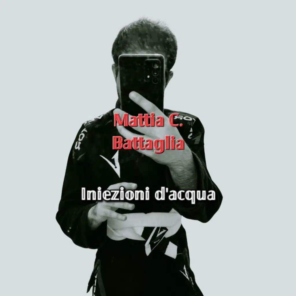 Mattia C. Battaglia