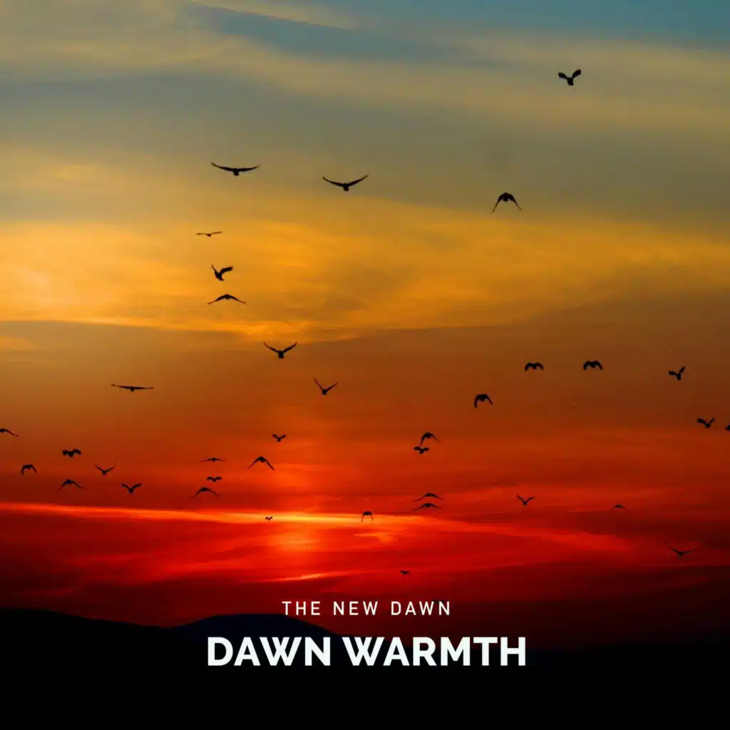 The New Dawn