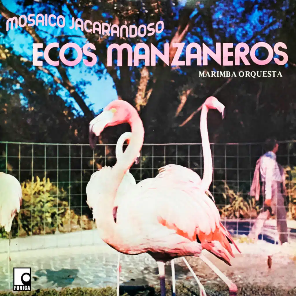 Marimba Orquesta Ecos Manzaneros