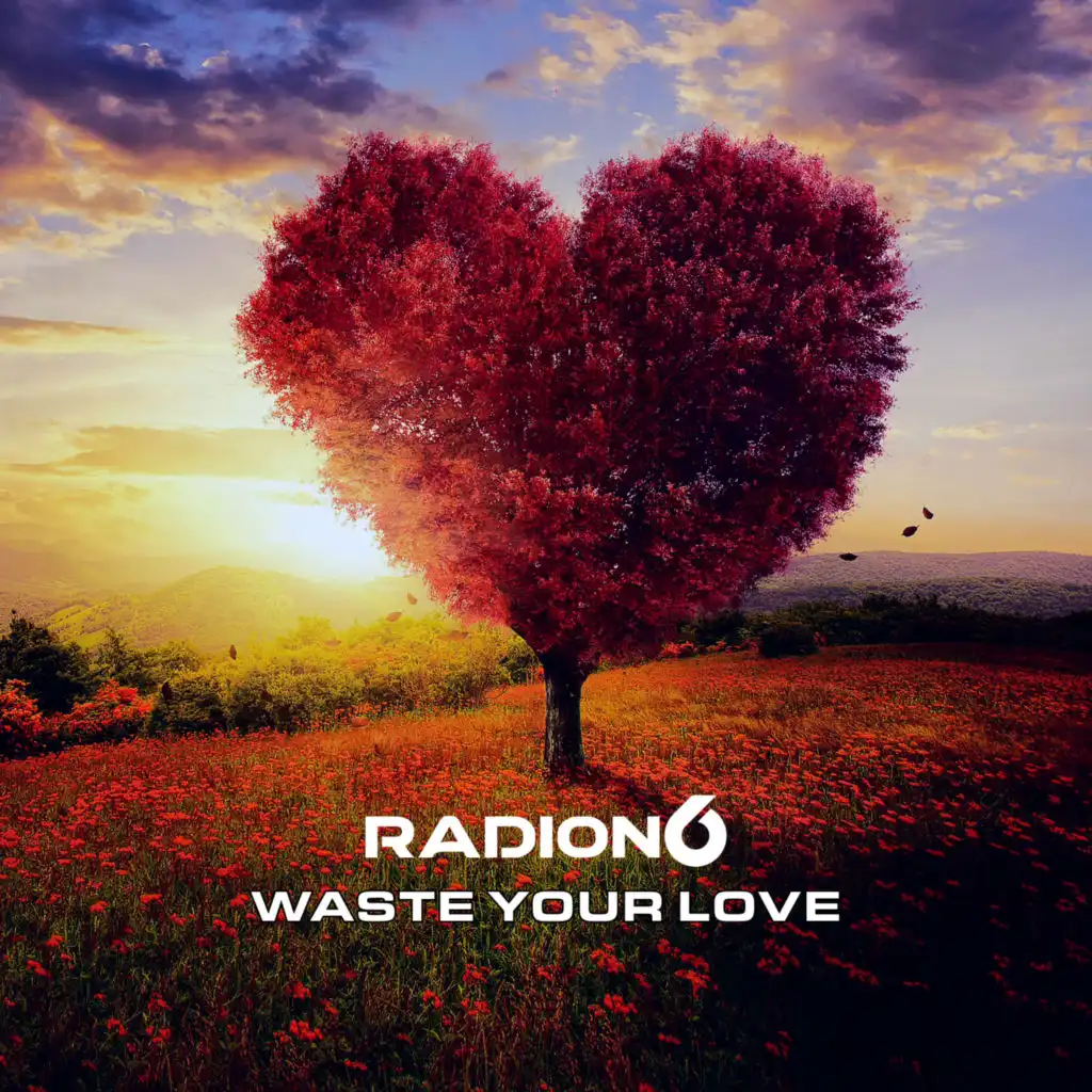 Radion6