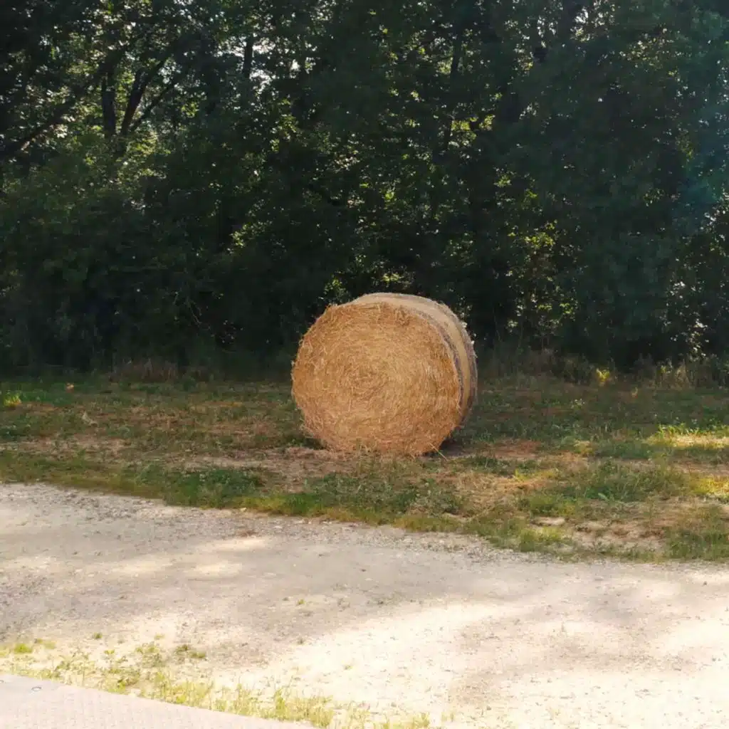 Un brin de lumière (Bande Son Originale de la Pièce Chorégraphique)