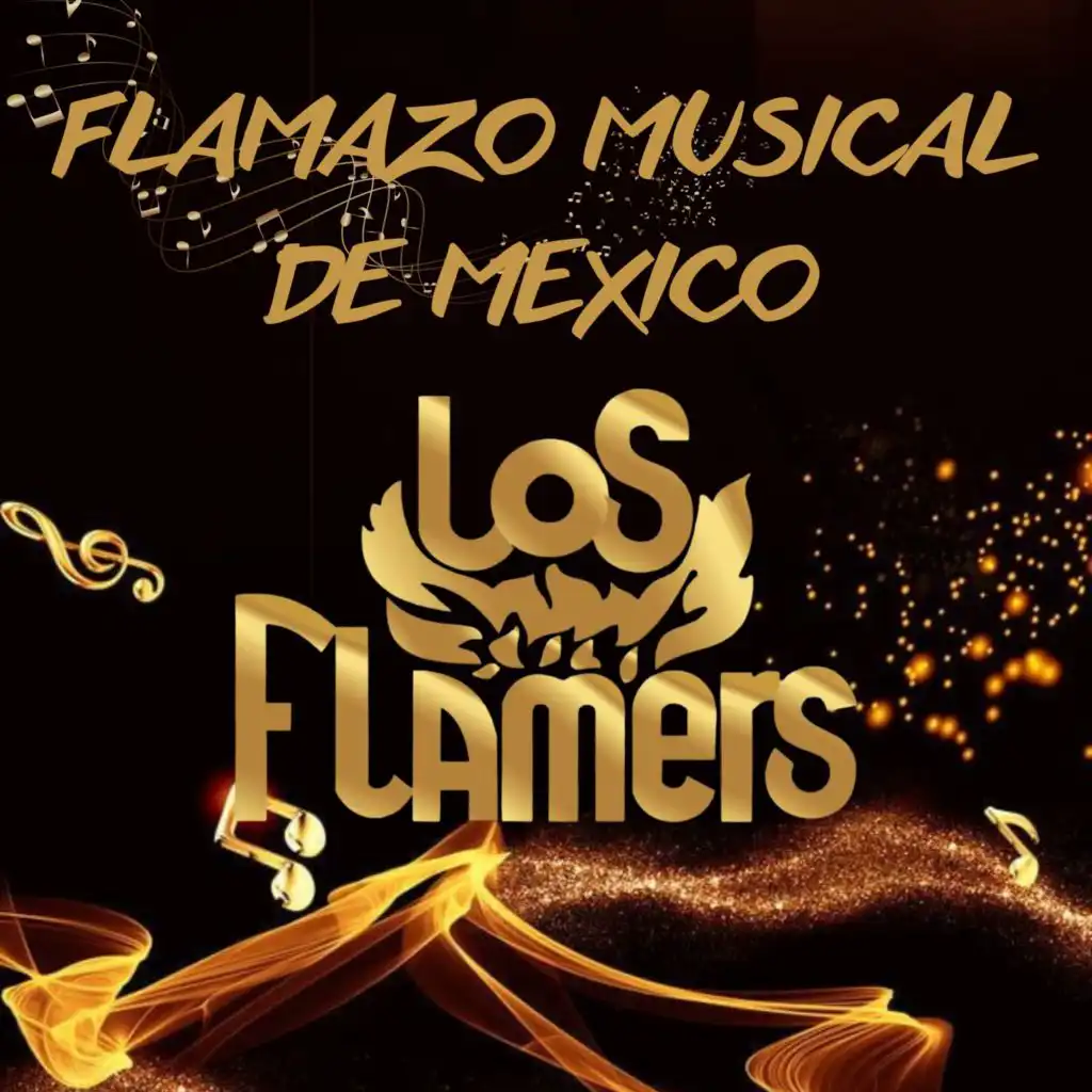 Flamazo Socios Del Ritmo: La Carreta / Ni Quieta, Ni Carreta / Llorar / Felicidad / Amor De Internet / Caballo Lechero / Doña Blanca / Niño Majadero / El Teterete / Chulito Piquin (En Vivo)