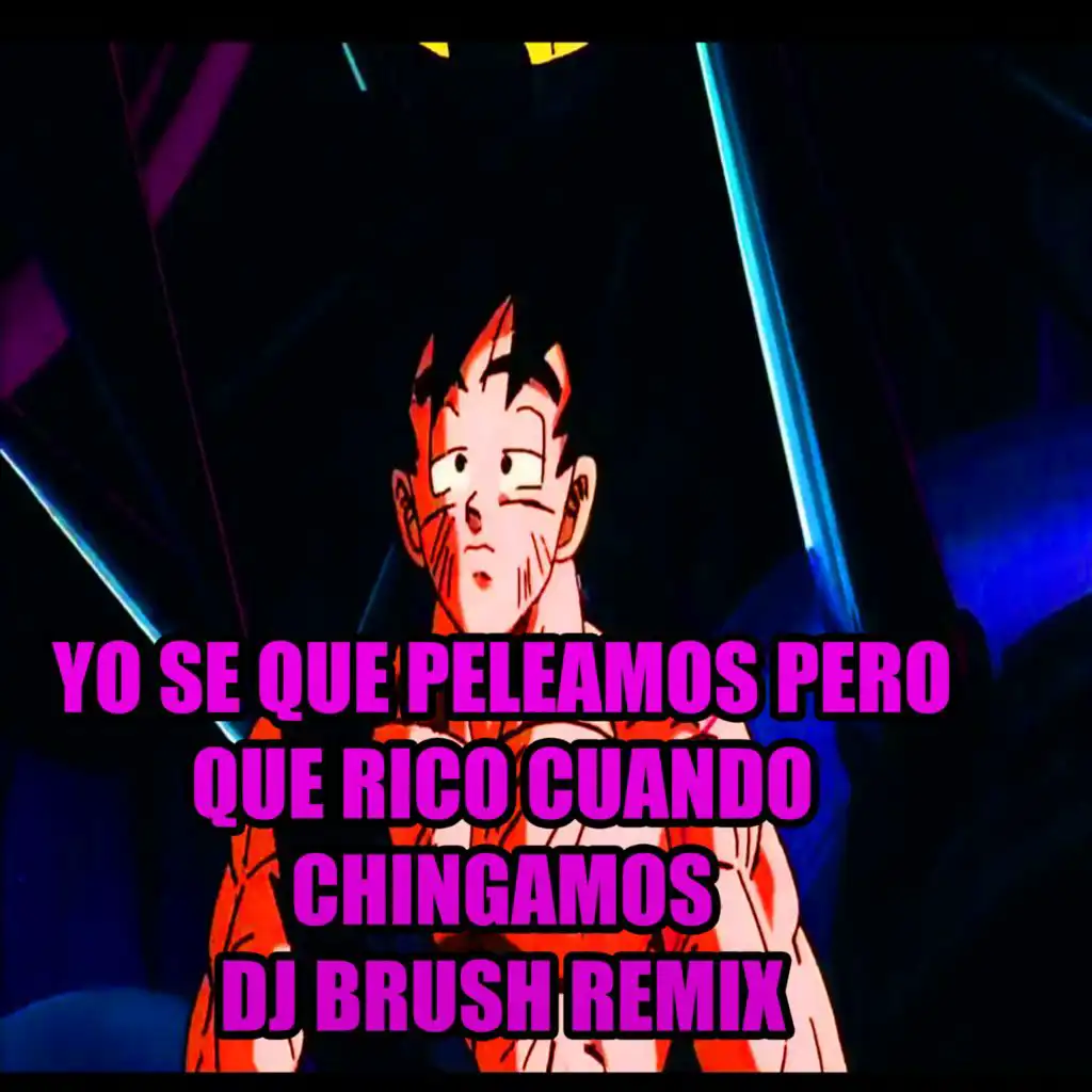 Dj Brush