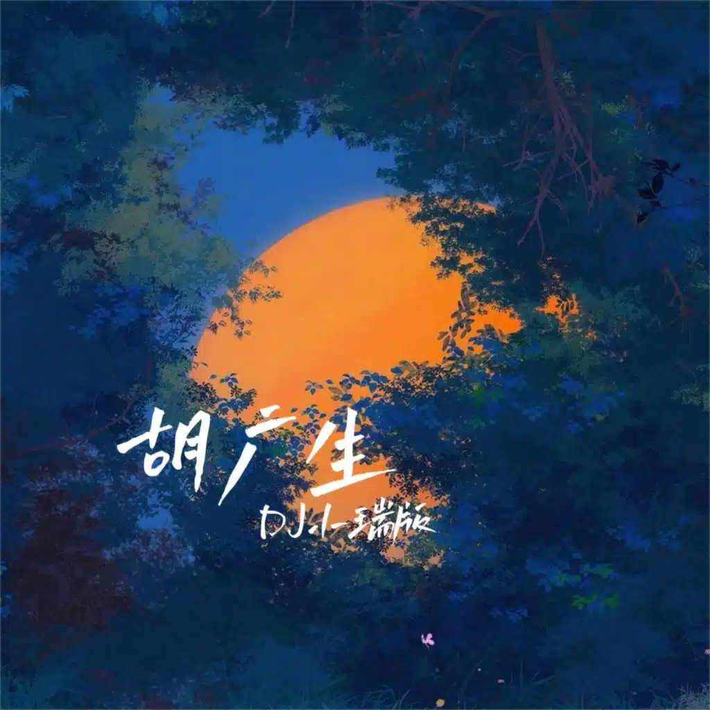 胡广生 (DJ小瑞版)