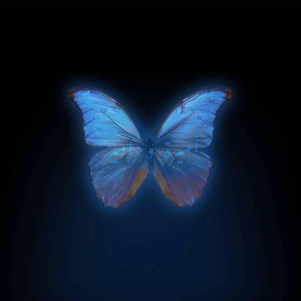 اميرة وامير (feat. Bigwe gang)