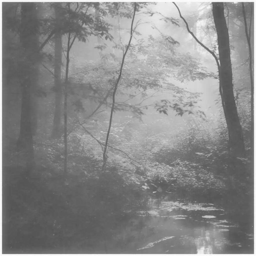 Kyle McEvoy, Async Ross & The Field Tapes