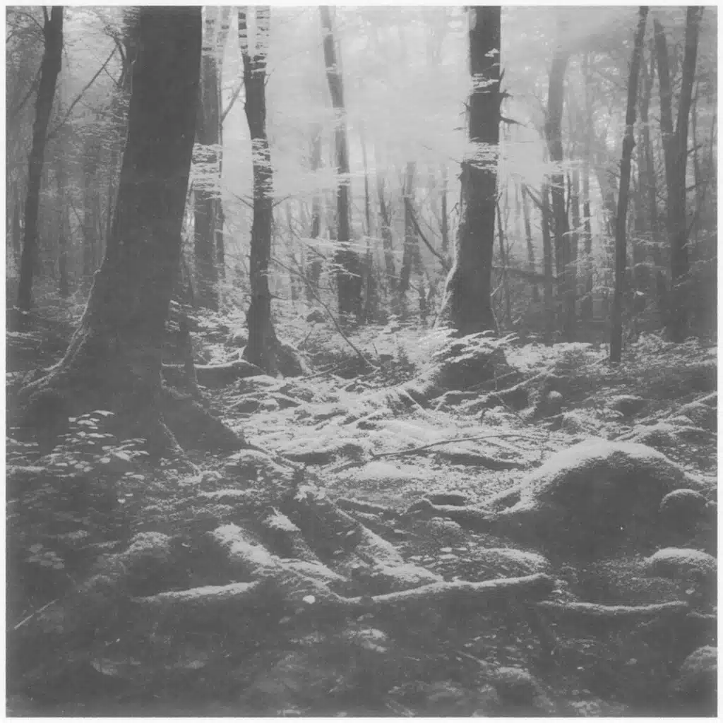 You Left (Rework) [feat. Kevin Kuh]