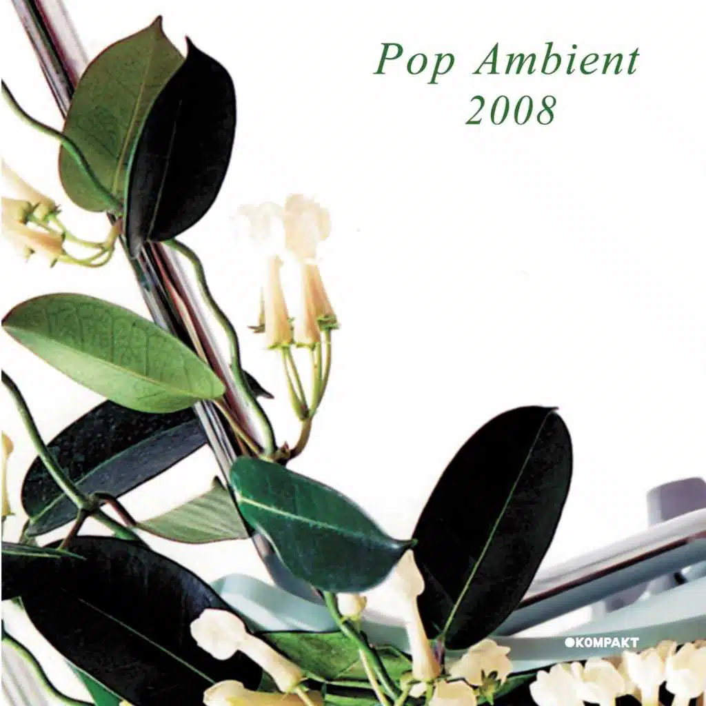 Pop Ambient 2008