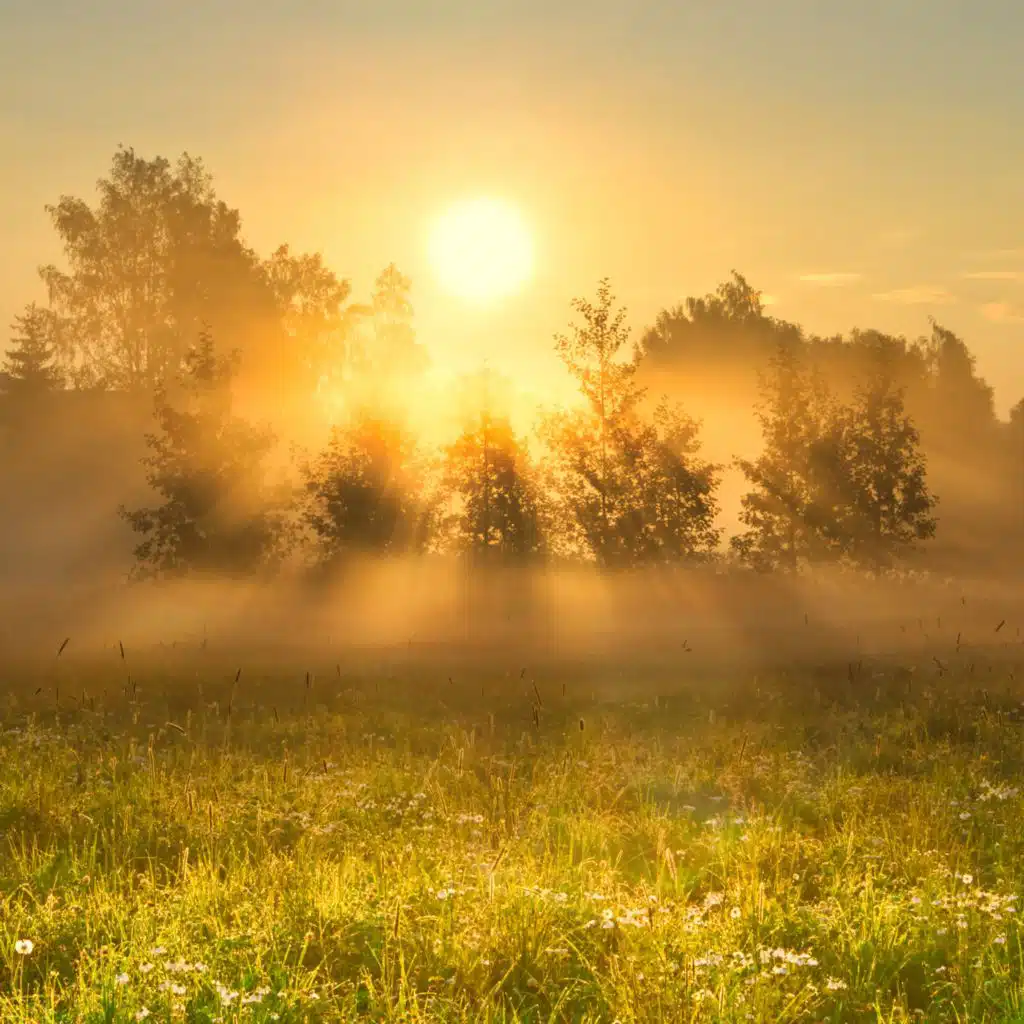 Arrival of the Morning Light - Relaxing Healing Chill Piano