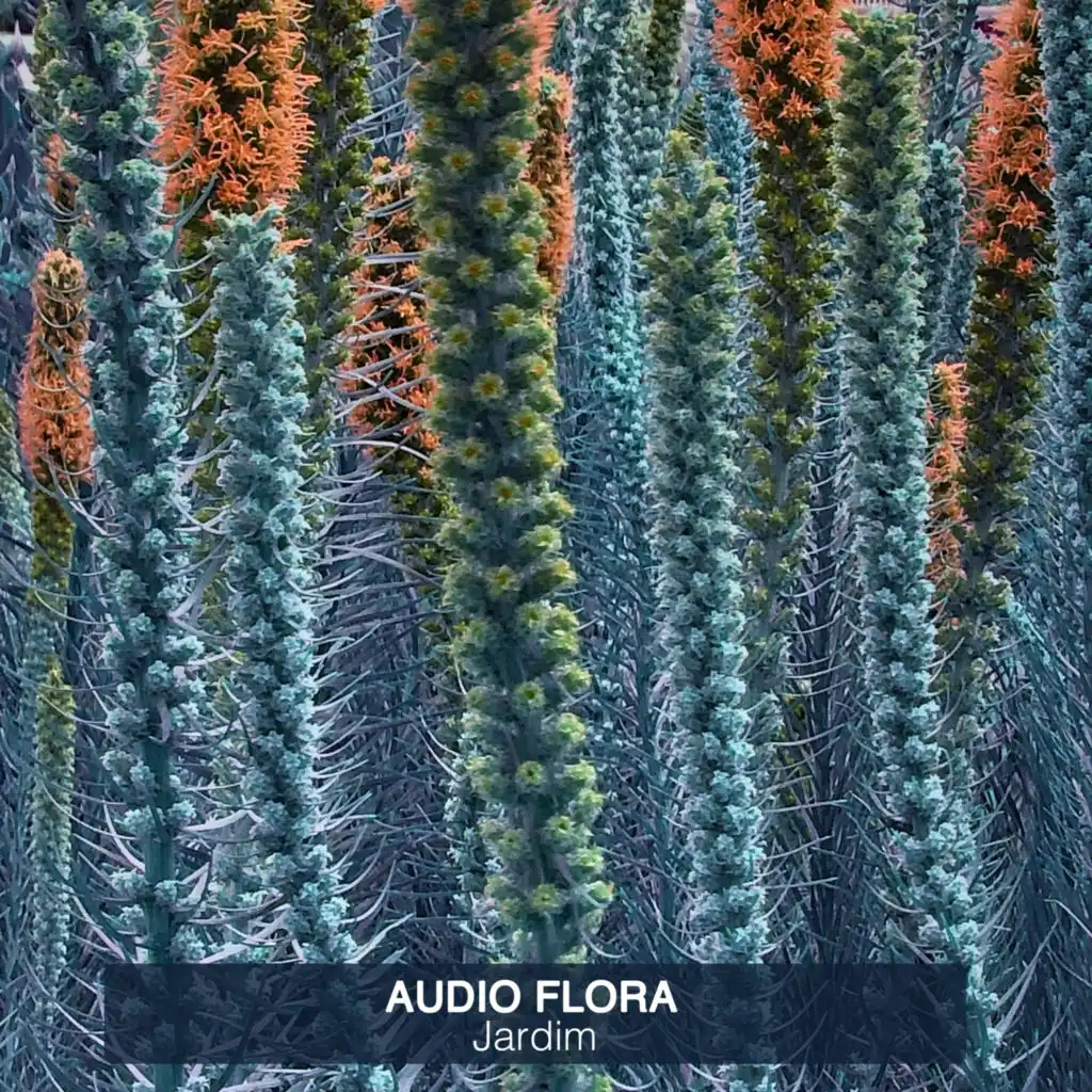 Audio Flora