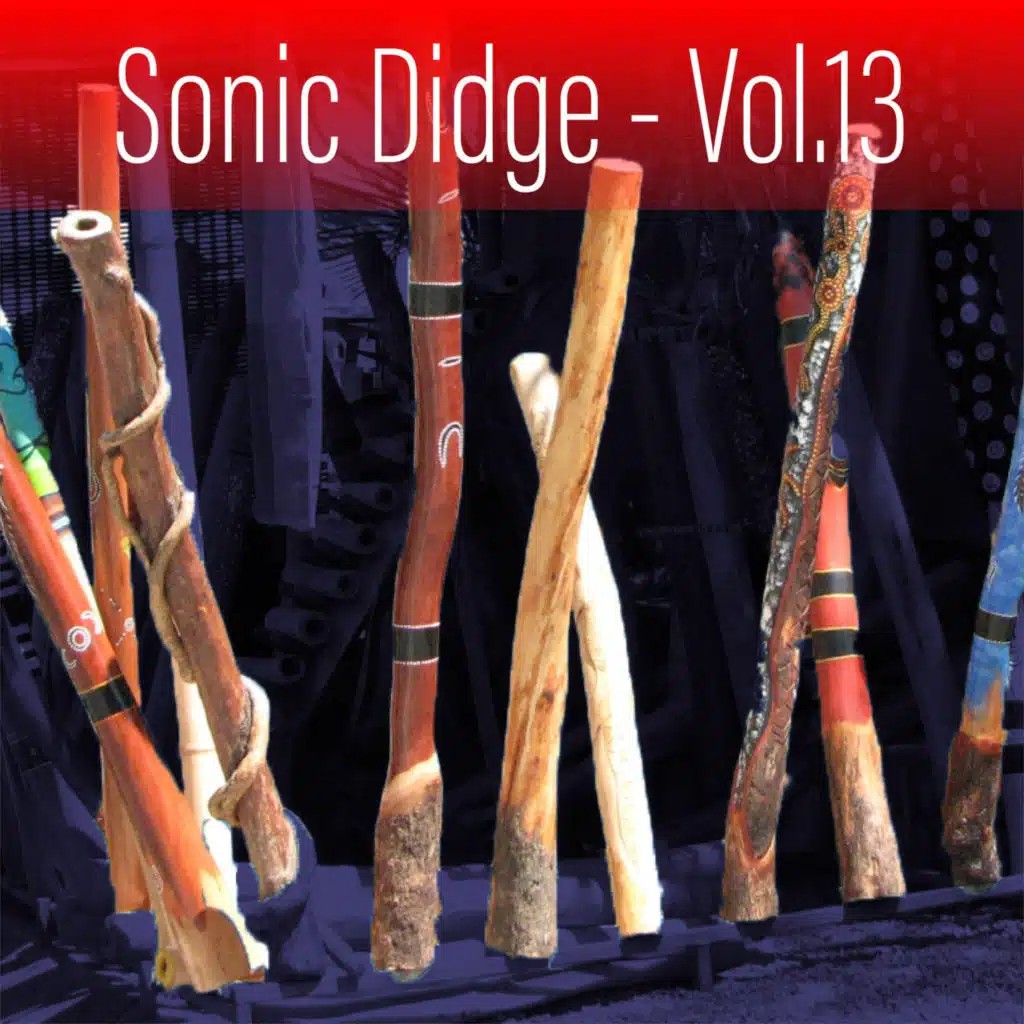 Sonic Didge, Vol. 13