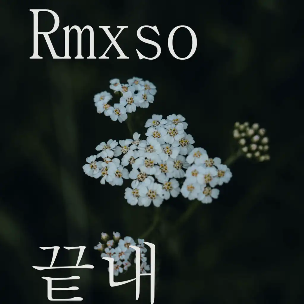 Rmxso