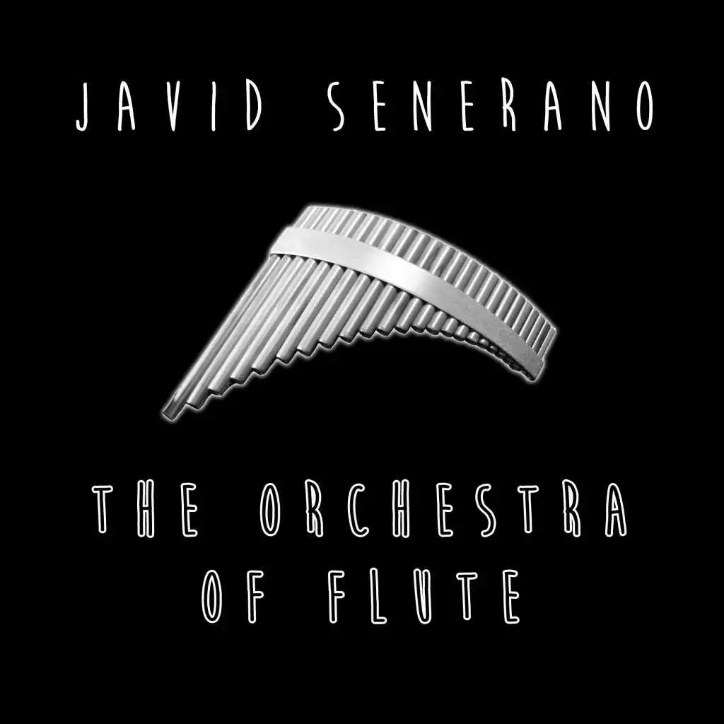 The Orchestra of Flute (Radio Edit)