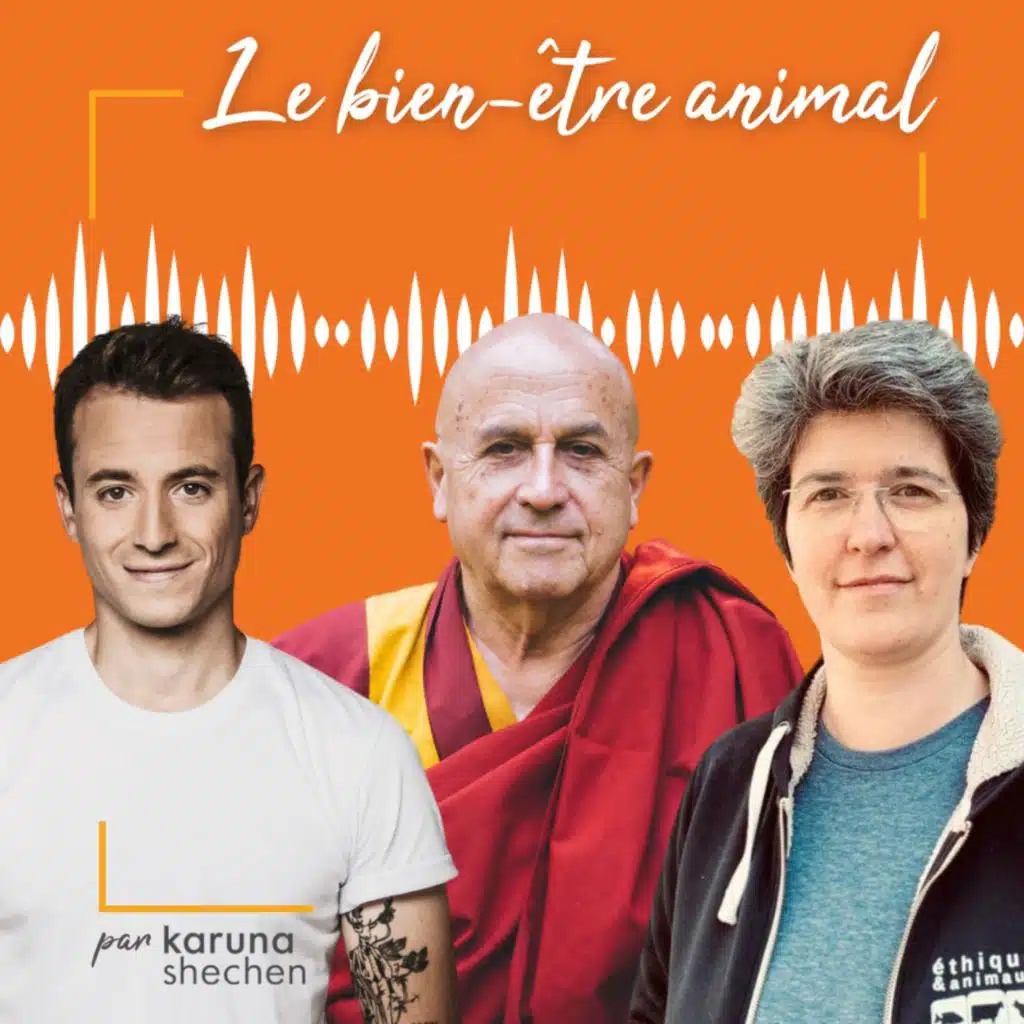 Et si... on arrêtait de faire souffrir les animaux ?