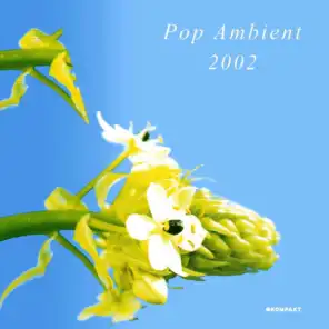 Pop Ambient 2002