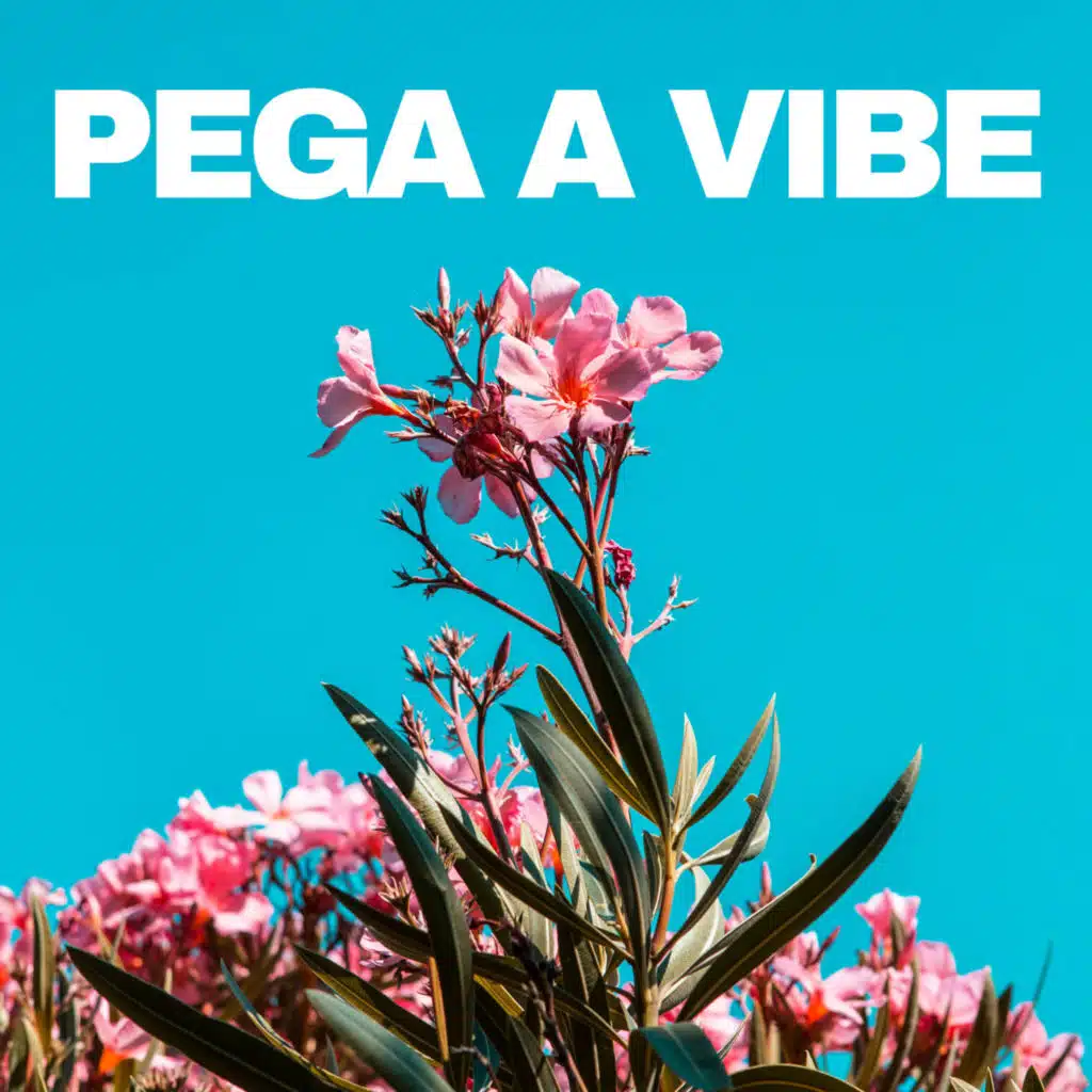 Pega a Vibe