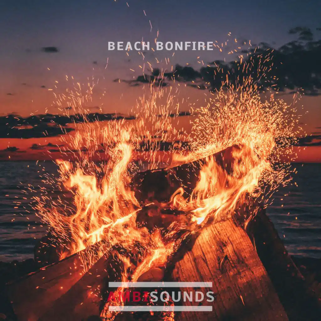 Beach Bonfire