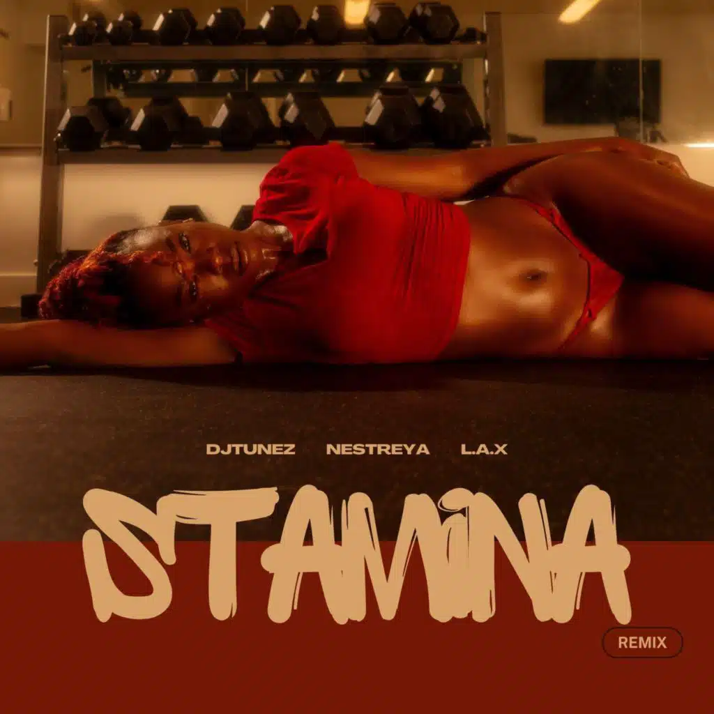 Stamina (Remix) [feat. L.A.X & DJ Tunez]