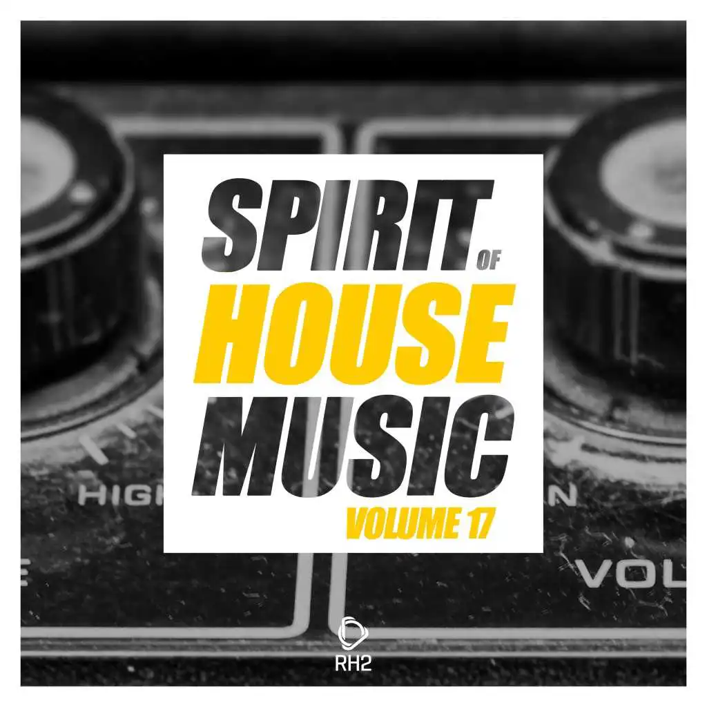 Spirit of House Music, Vol. 17