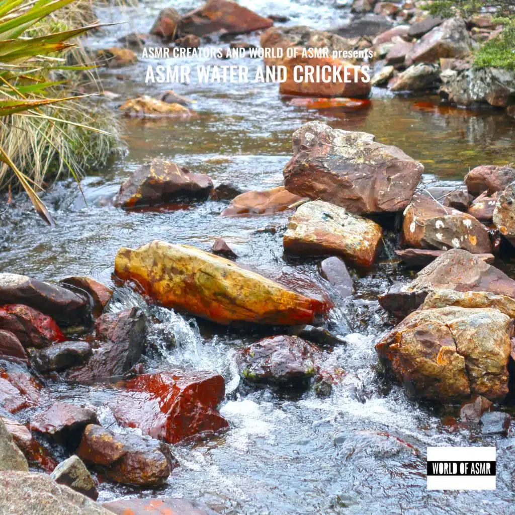 Asmr Water and Crickets