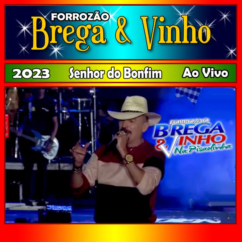 Bagaceira e curtição - Ao Vivo
